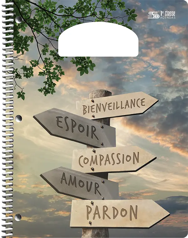 Choix de couvertures d’agendas scolaires PiQ Plein potentiel Standard – Carrefour